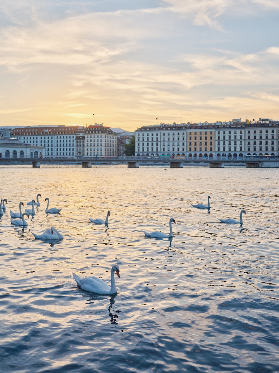 a group of birds on a beach